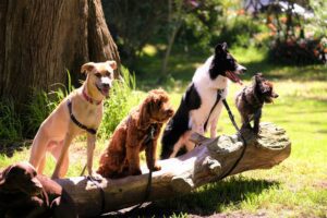 Beat the Heat: Signs of Overheating and How to Prevent It