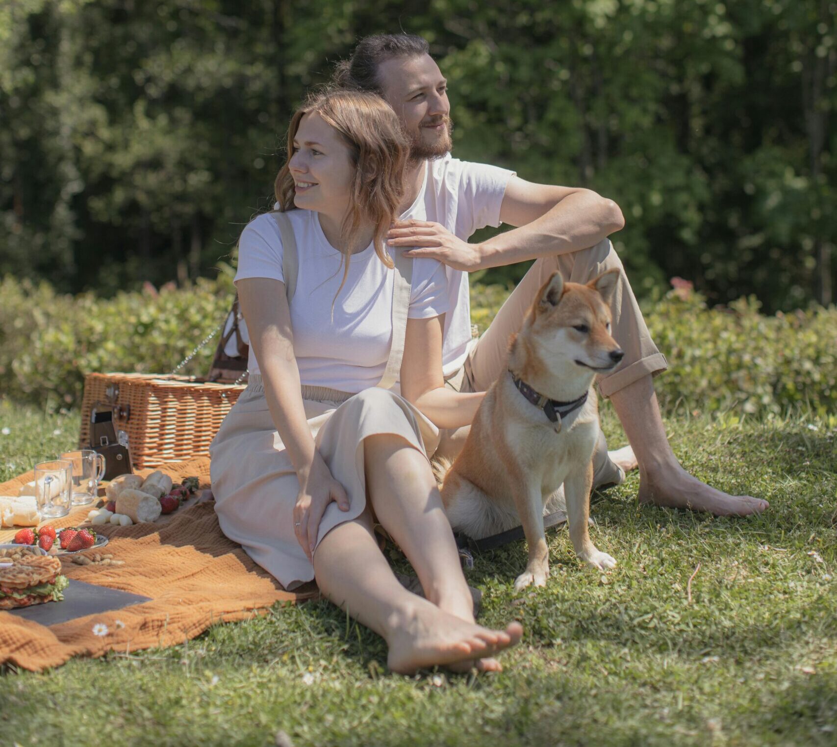 Summer Foods for Dogs