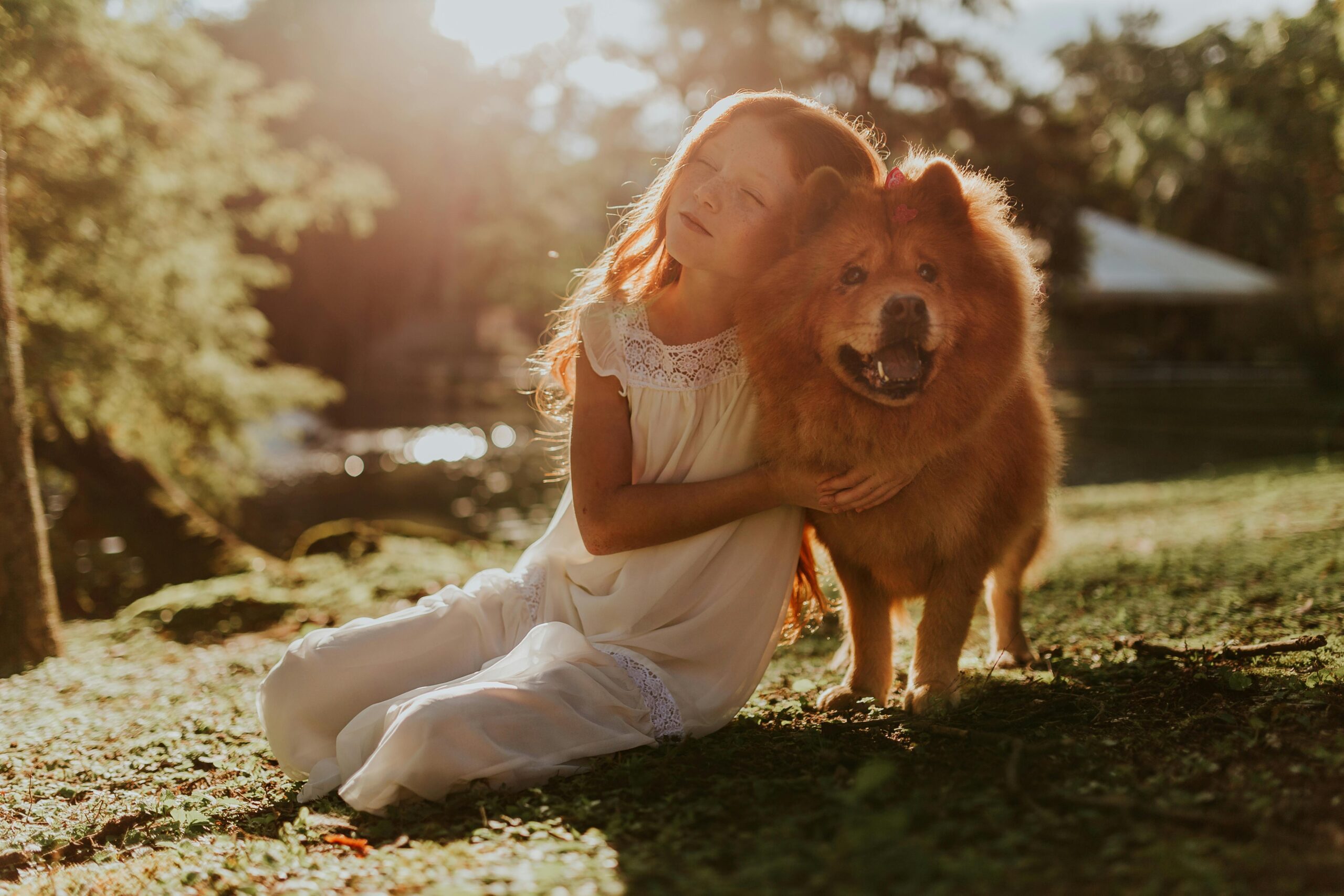 Training Tips for Families With Kids and Dogs