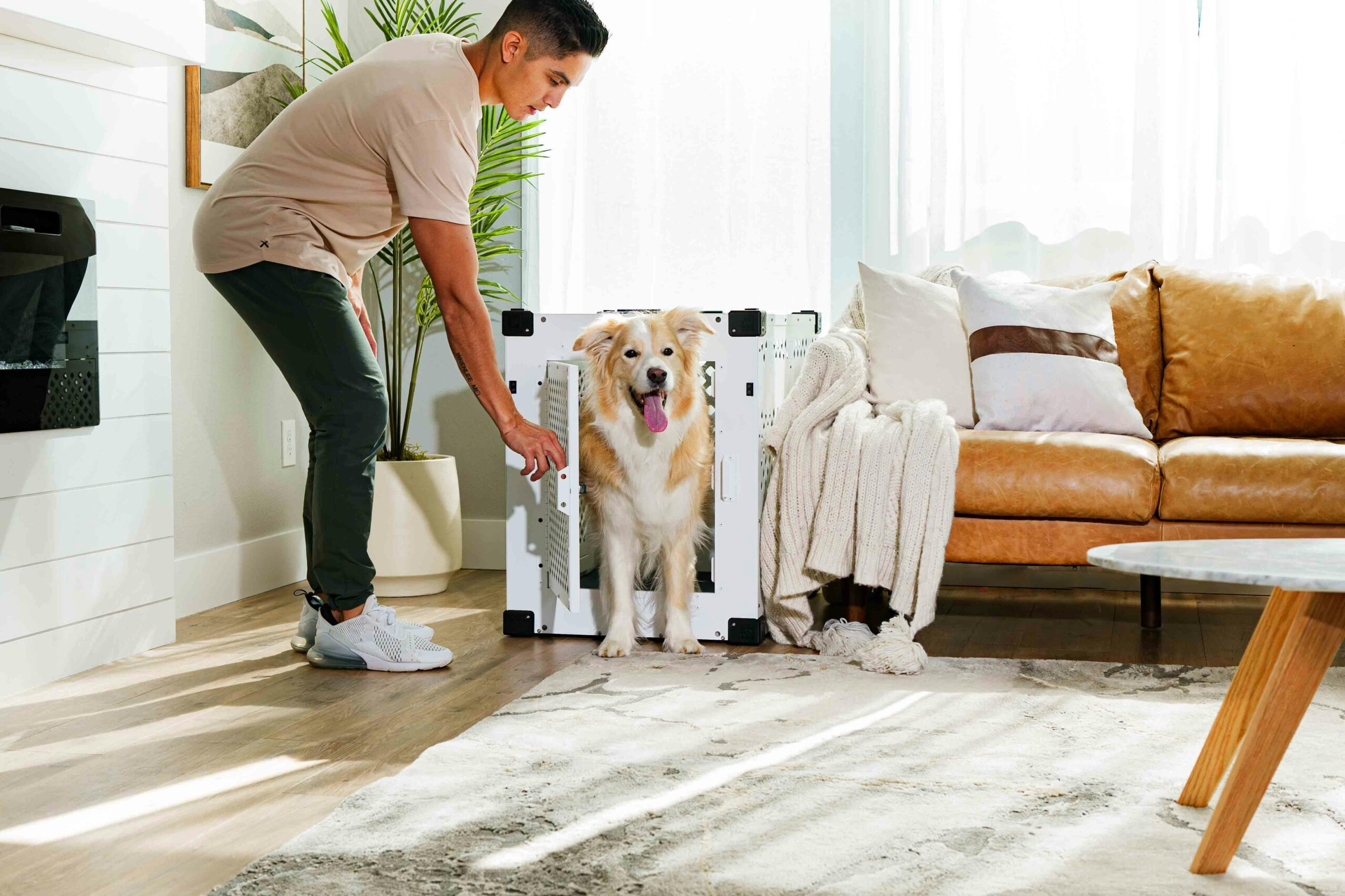Crate Training 101: The Simple Positive Approach
