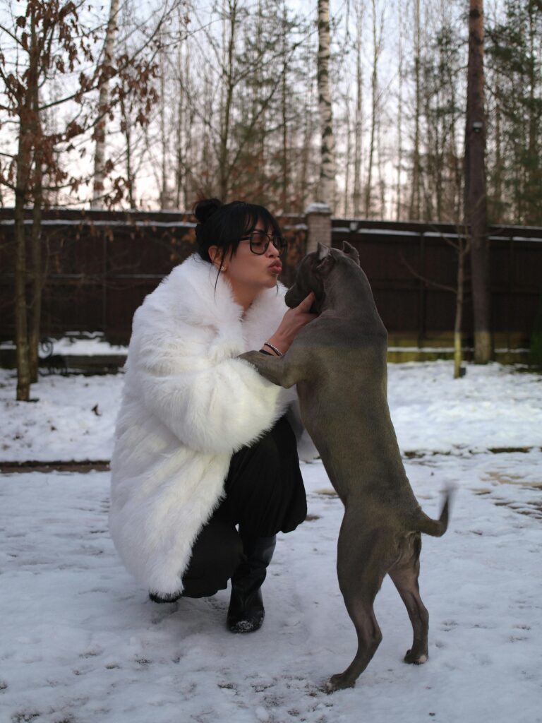 Holiday Hazards: Dangerous Foods, Decorations, and More