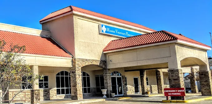 What Your Dog’s Wellness Exam Reveals About Their Training Progress