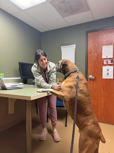 What Your Dog’s Wellness Exam Reveals About Their Training Progress