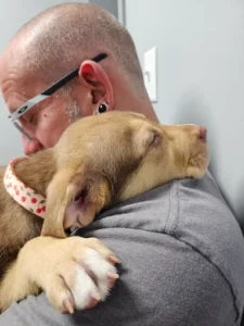 Why Trained Dogs Are Easier to Examine Safely