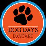 Dog daycare training tips for calm drop-offs and better play