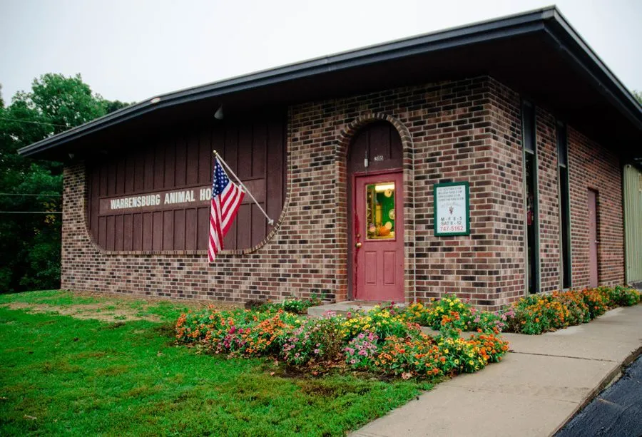 Vet visit training tips to help dogs stay calm during exams