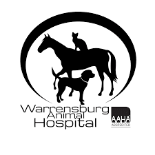 Vet visit training tips to help dogs stay calm during exams