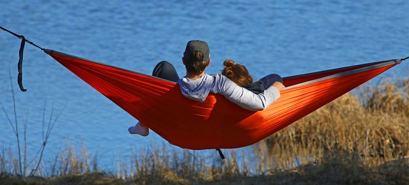 Dog park training tips for safer off-leash play near Kansas City