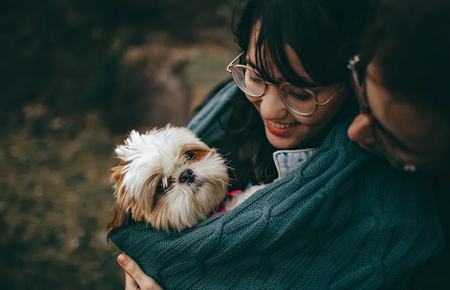 Emergency vet training tips for calm handling and safer clinic visits