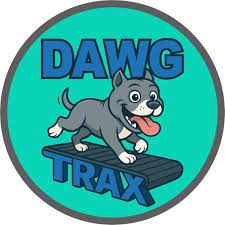 Dog exercise training routine for a calmer active dog in Kansas City