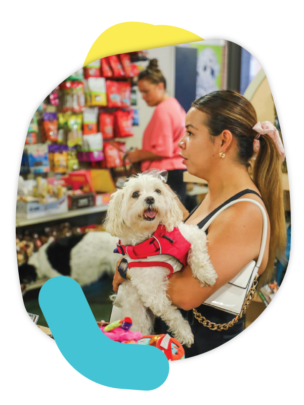 Dog training supplies for better obedience in Kansas City